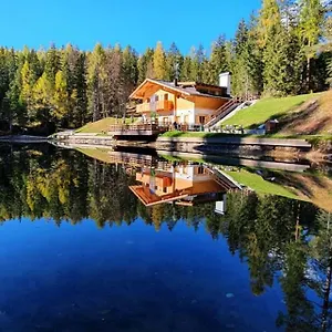 https://rifugio-lago-dajal.hotelinveneto.com
